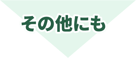 その他にも